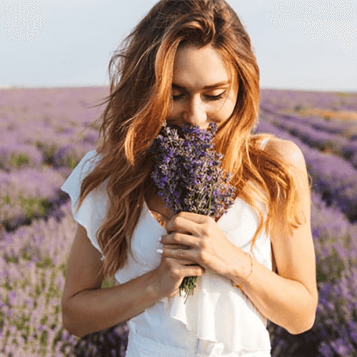 fragrance-articlee.png