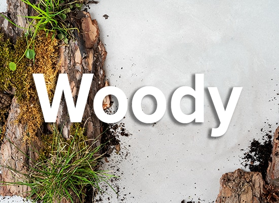 Woody